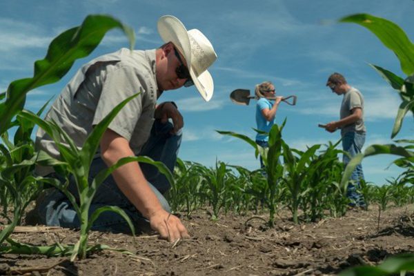 fieldopssupport